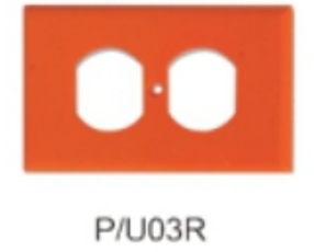 ELECTRICAL PVC PLATE-PPT-1G-OR